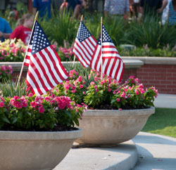 potted flags